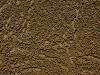 wallpaper: Zand