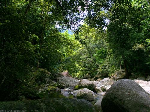 wallpaper: Kreek nabij Mossman II, Australië